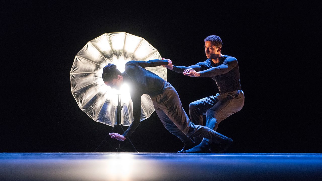 Dansfestivalspecial 2019